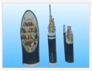 鐵路信號(hào)電纜